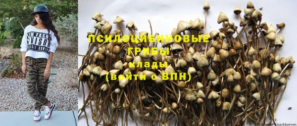 ГАЛЛЮЦИНОГЕННЫЕ ГРИБЫ Алексин
