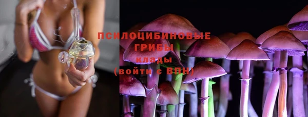 ГАЛЛЮЦИНОГЕННЫЕ ГРИБЫ Алексин