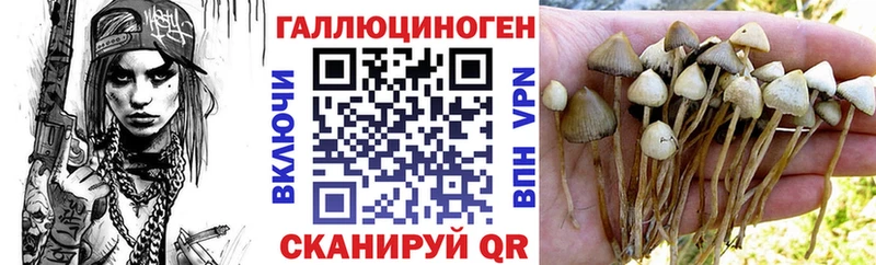 Псилоцибиновые грибы Psilocybe OMG рабочий сайт Волгоград
